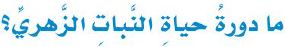 النبات الزهري
